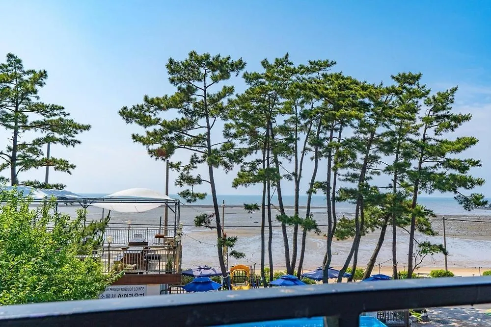 Yeongheungdo Haesong Pension Incheon Guest house
